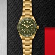 Black Bay 58 18K 39mm Yellow Gold Case